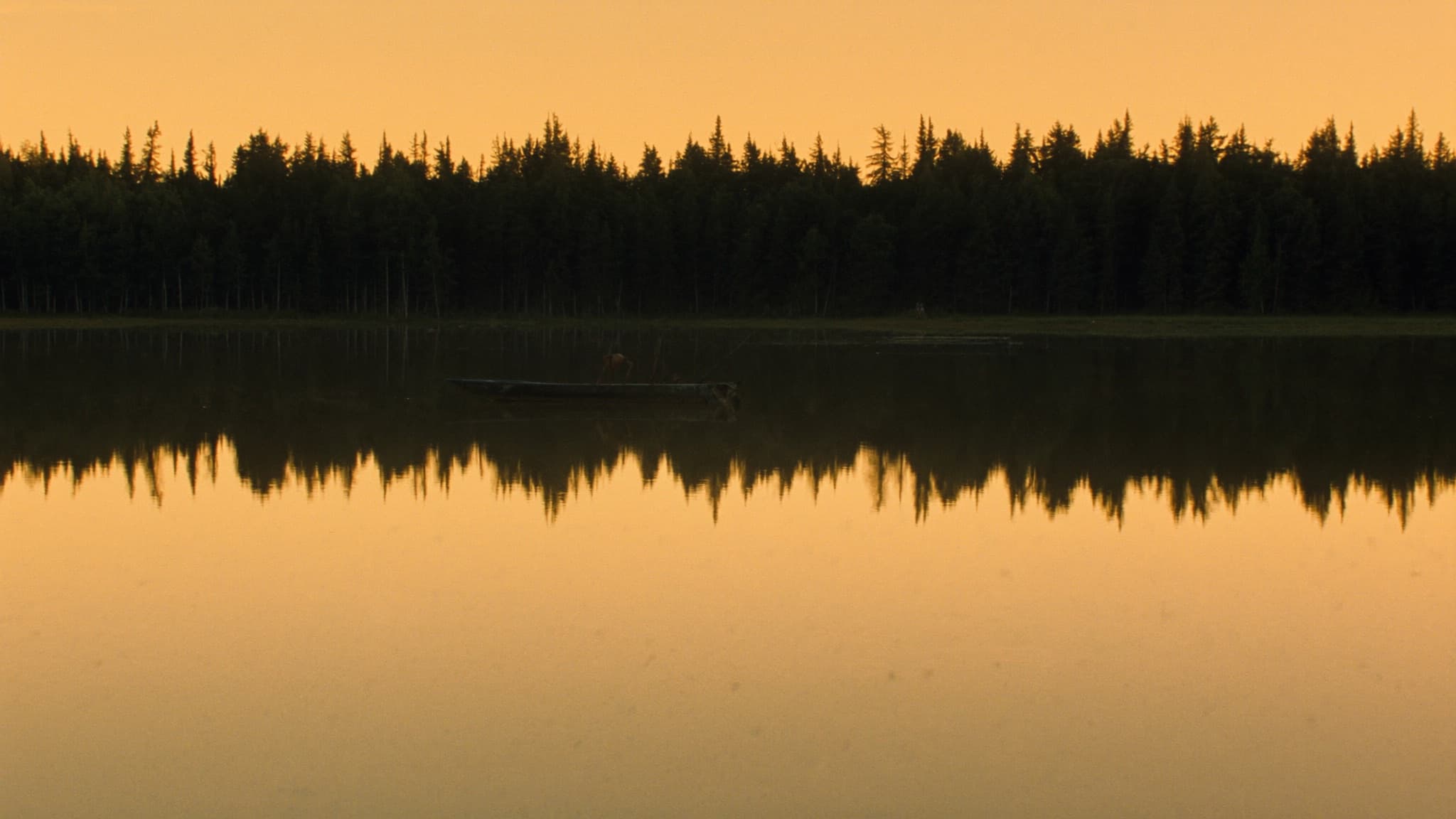 A still northern Minnesota lake at golden hour, dark pines mirrored in calm water